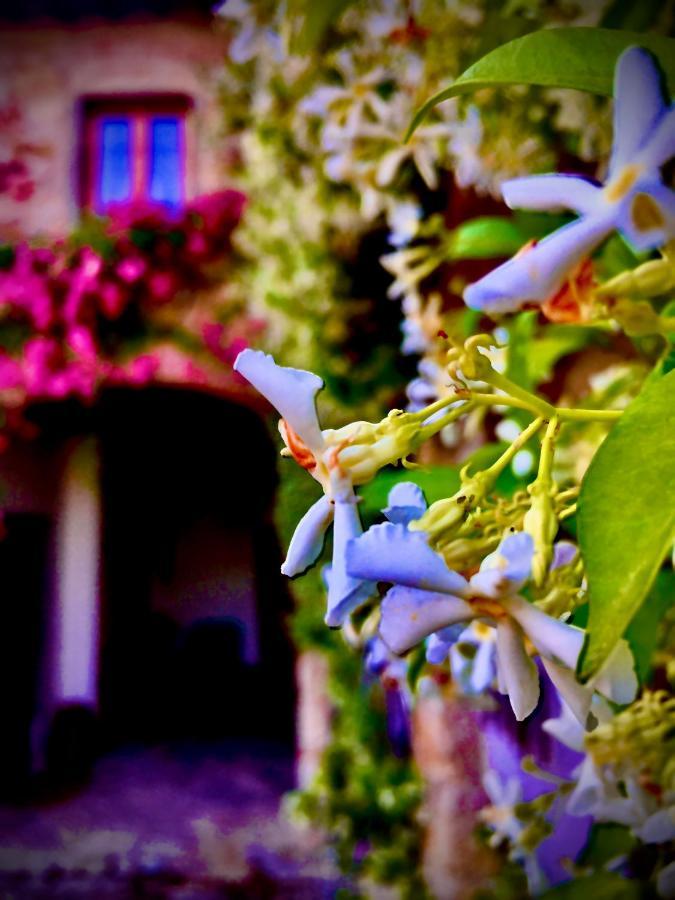 Podere Di Belforte Баньо-а-Риполи Экстерьер фото
