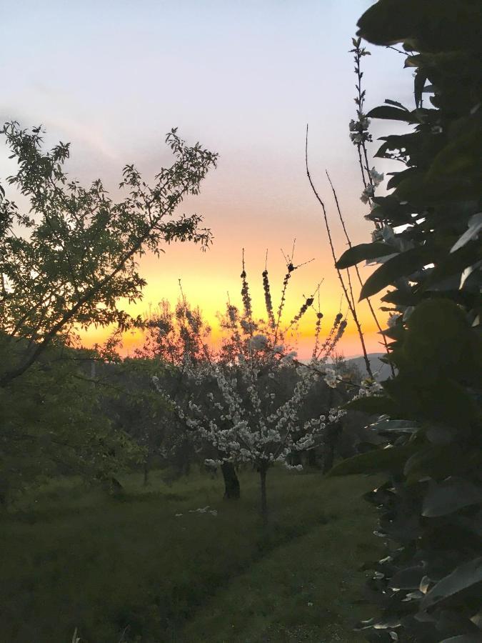 Podere Di Belforte Баньо-а-Риполи Экстерьер фото