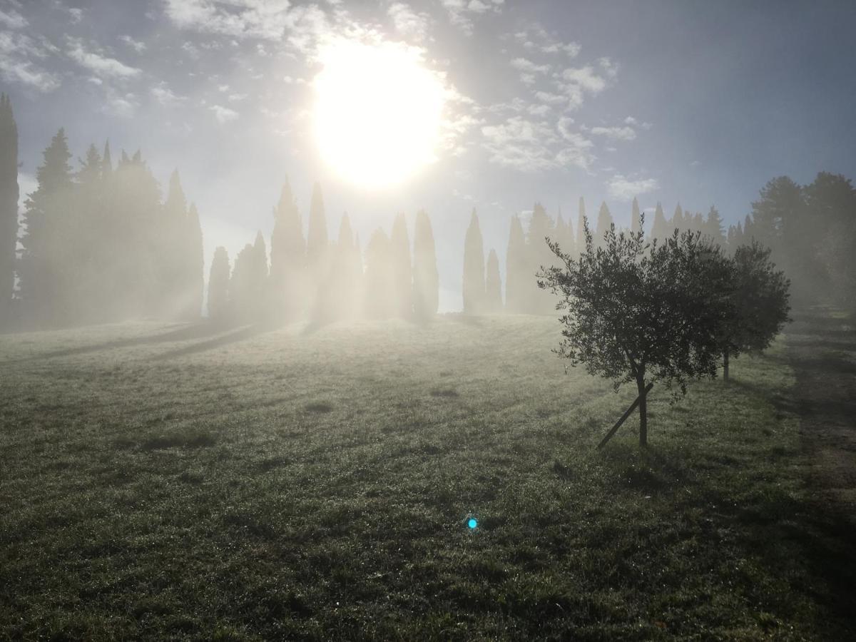 Podere Di Belforte Баньо-а-Риполи Экстерьер фото
