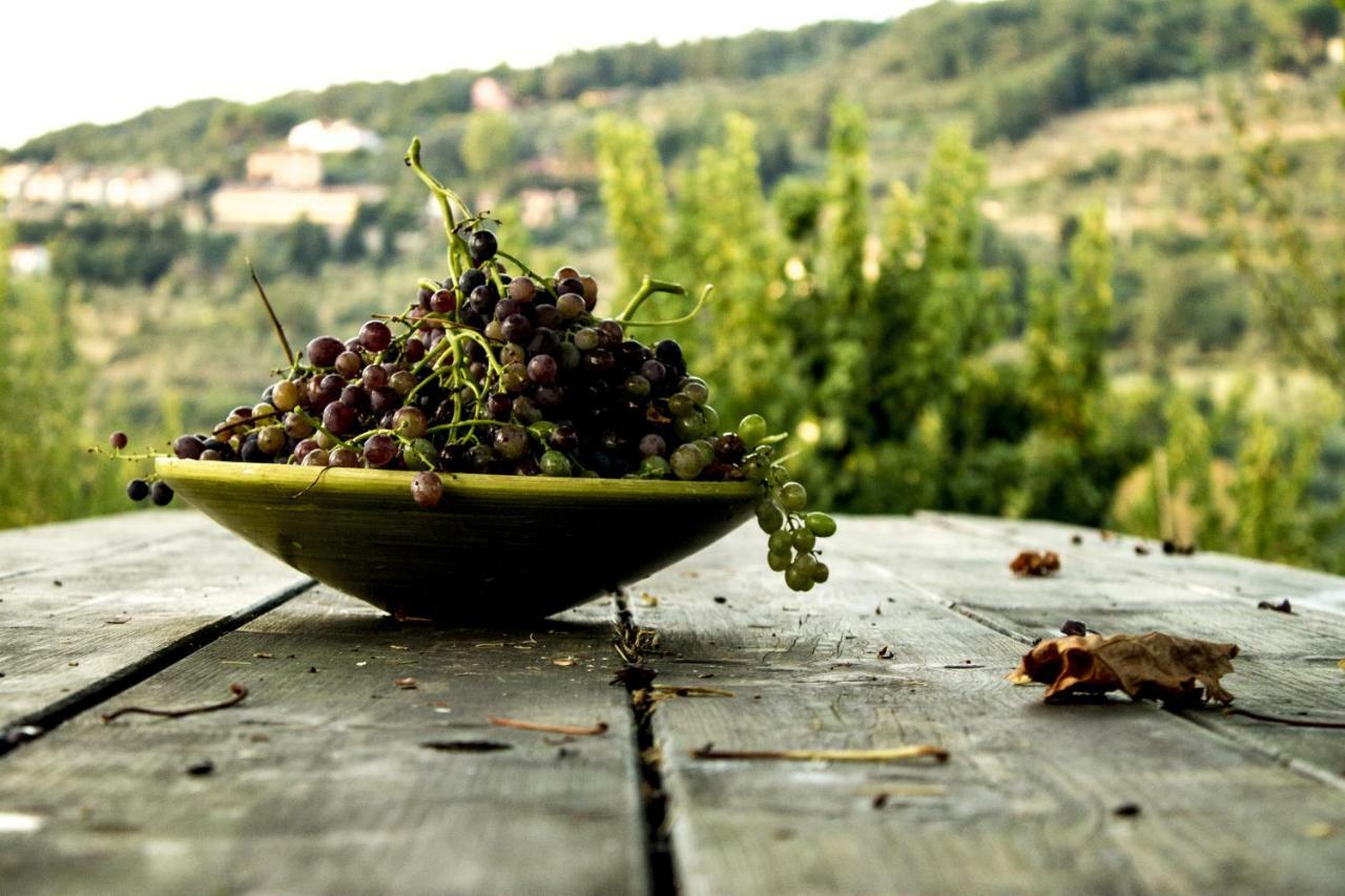 Podere Di Belforte Баньо-а-Риполи Экстерьер фото